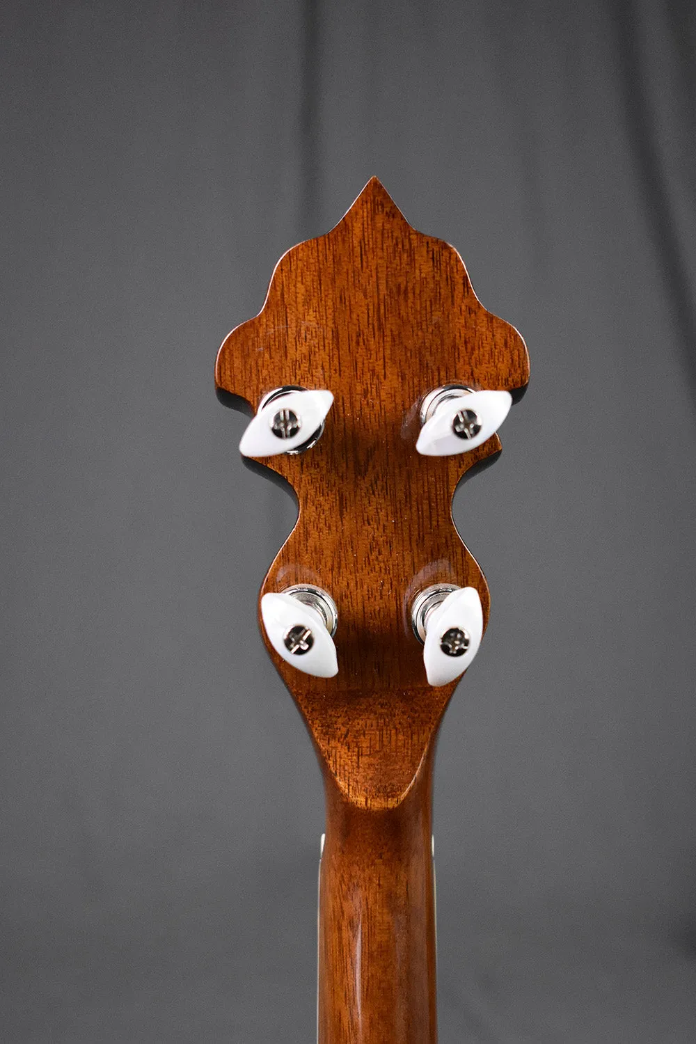 2013 Rover RB-115 "Front Porch Series" Resonator Banjo